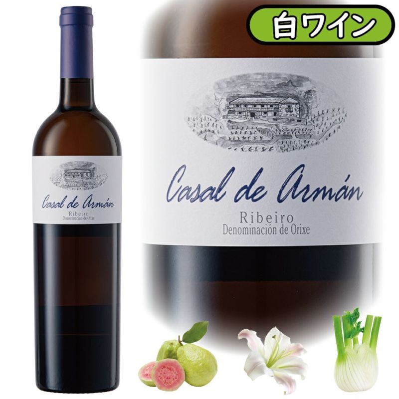 土着品種の個性光るエレガント系白ワイン、カサル・デ・アルマン・ブランコ