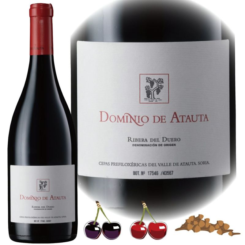 スターワインと発掘された超古木の優しい味わいの赤ワイン、ドミニオ・デ・アタウタ
