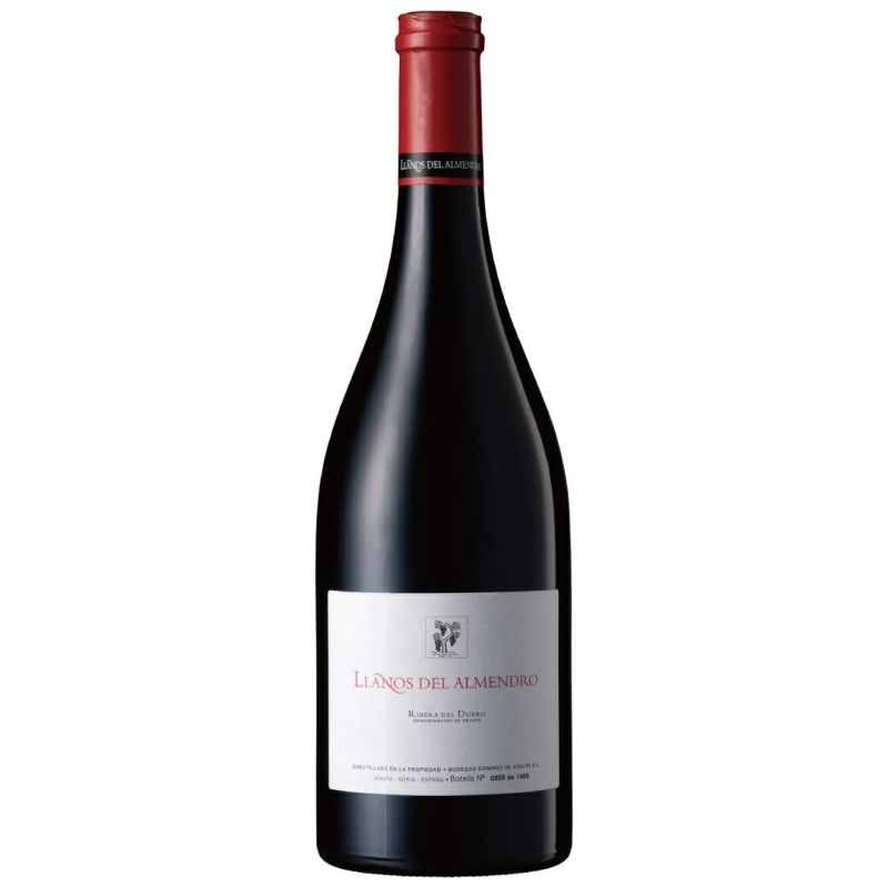 ブルゴーニュ・グランクリュのような格を感じる　ペニンガイド96・パーカーポイント96の赤ワイン、リャノス・デル・アルメンドロ