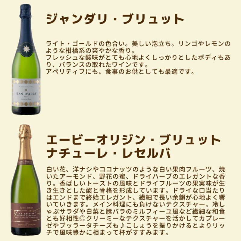 初心者にもおすすめ］「フランス&スペイン！主要品種赤白ワイン飲み