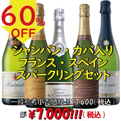 ①【大特価】フレッシュスパークリングワイン　各種750ml  12本セット 各種750ml 12本セット 見当り ①【大特価】フレッシュ